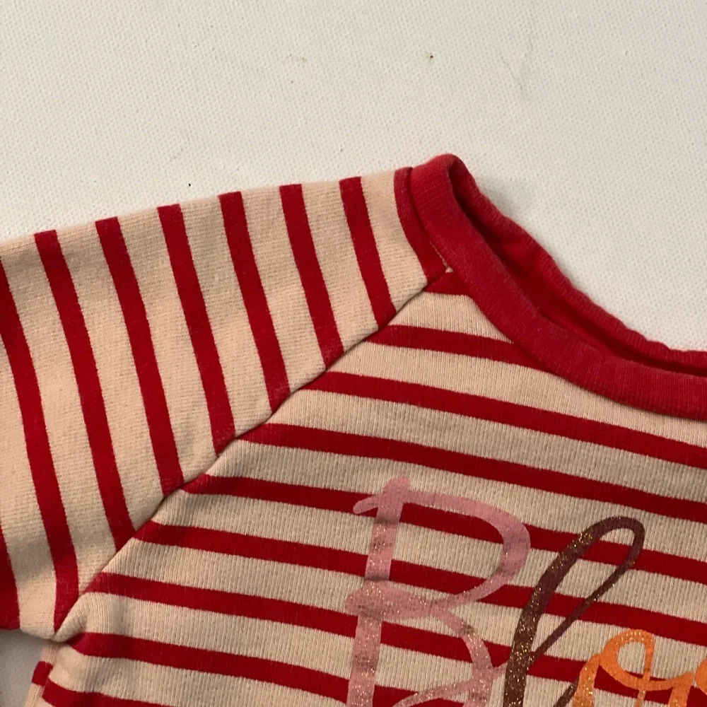 Zara Baby Girl Striped “Bloom “ Sweatshirt